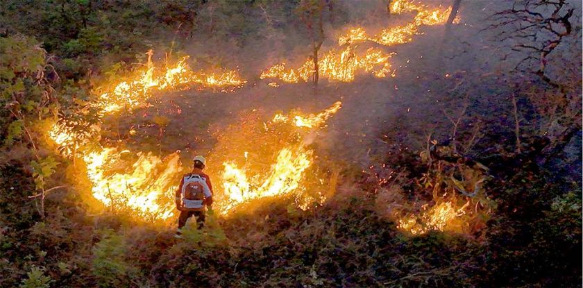 América de Sur casi duplica  incendios de un año a otro