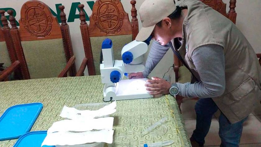 Activan la alerta por dengue para evitar casos nativos en Potosí