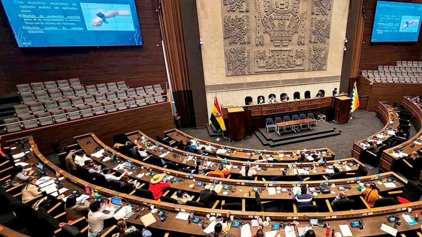Potosí se mantiene en el cuarto lugar en el número de diputados