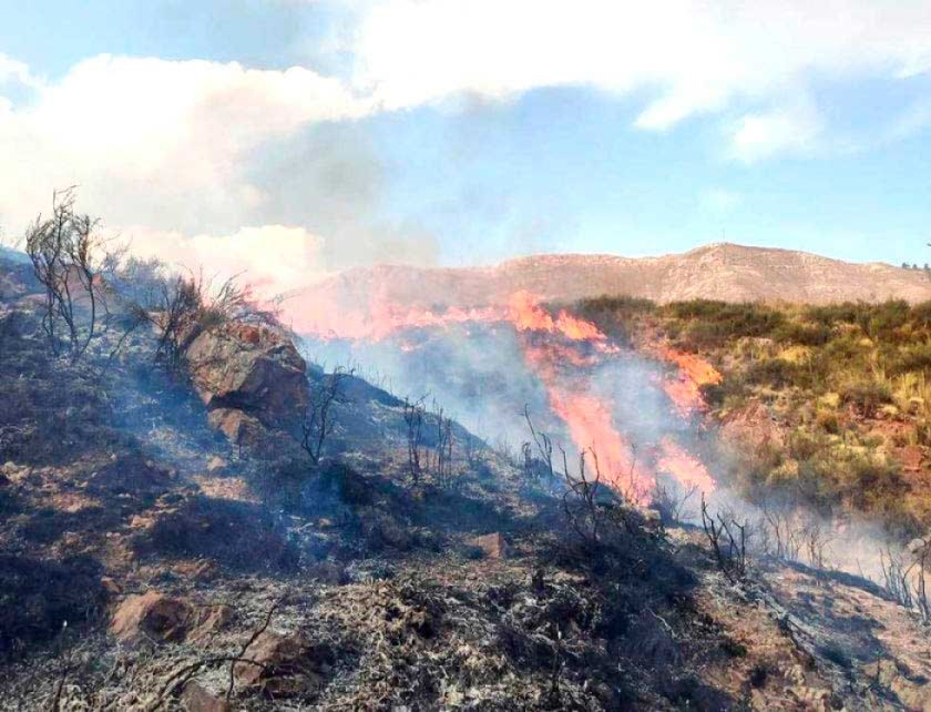 Potosí ya perdió más de 150 de hectáreas quemadas este año