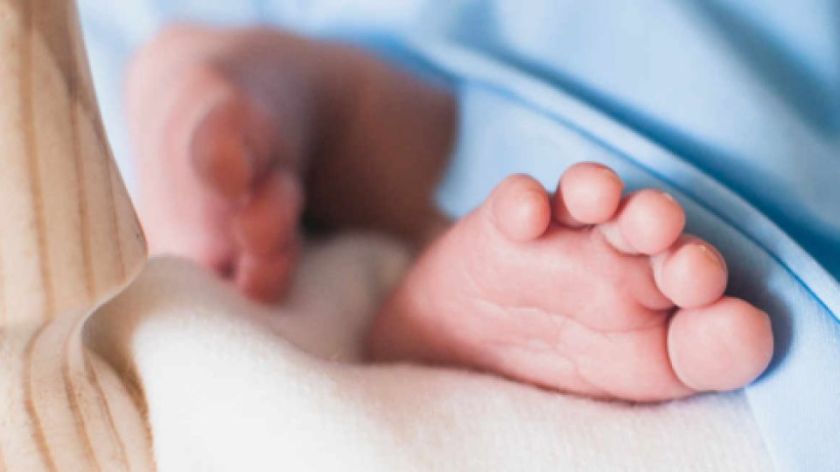 Niños que fueron envenenados por su mamá se recuperan en el hospital de El Alto
