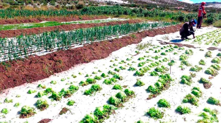 Los desastres naturales afectaron a más de 2.300 familias en Potosí