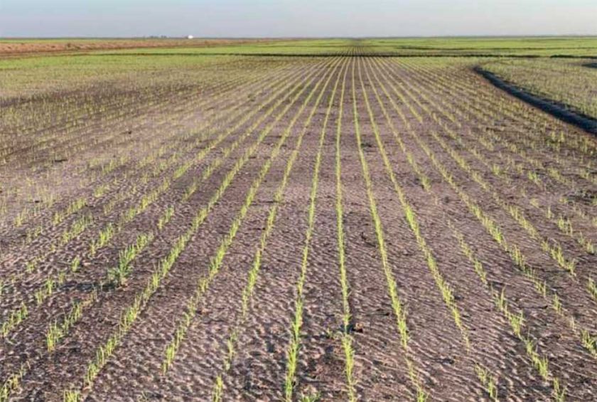 Cainco advierte de crisis alimentaria por el diésel