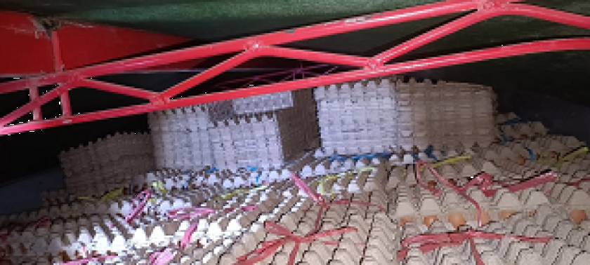 Operativo comisa alimentos subvencionados, un vehículo y línea blanca en frontera con Perú