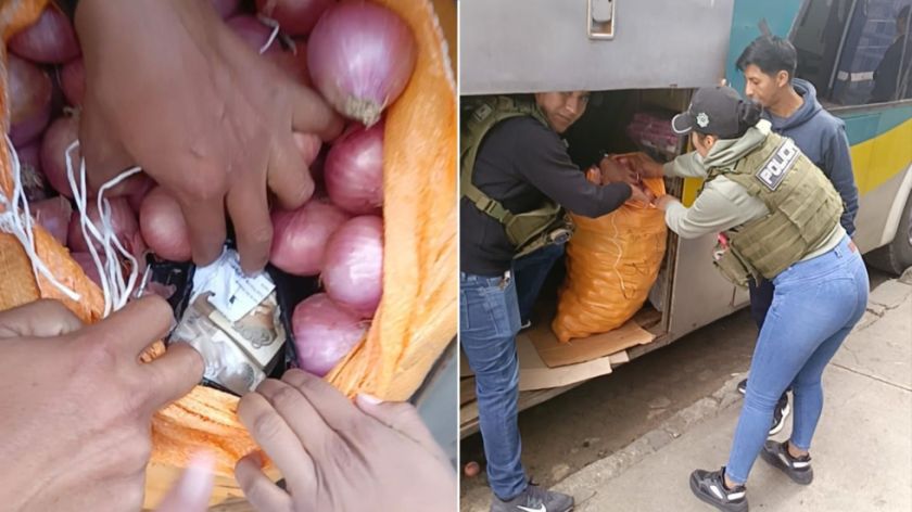 Intentó viajar con Bs 2 millones camuflados en una bolsa de cebollas