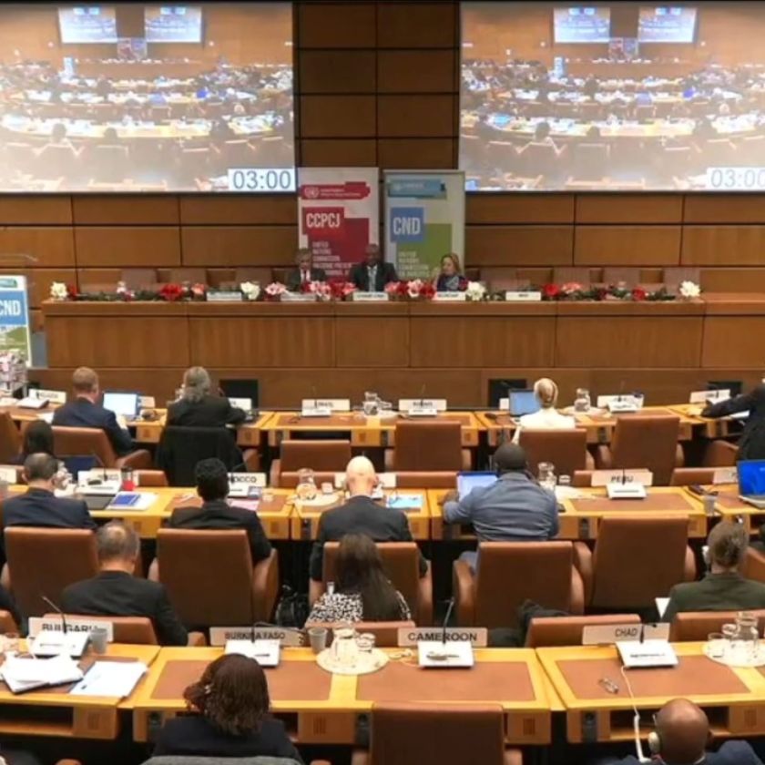 Bolivia solicita en Viena el reconocimiento pleno de la hoja de coca como patrimonio ancestral y su desestigmatización