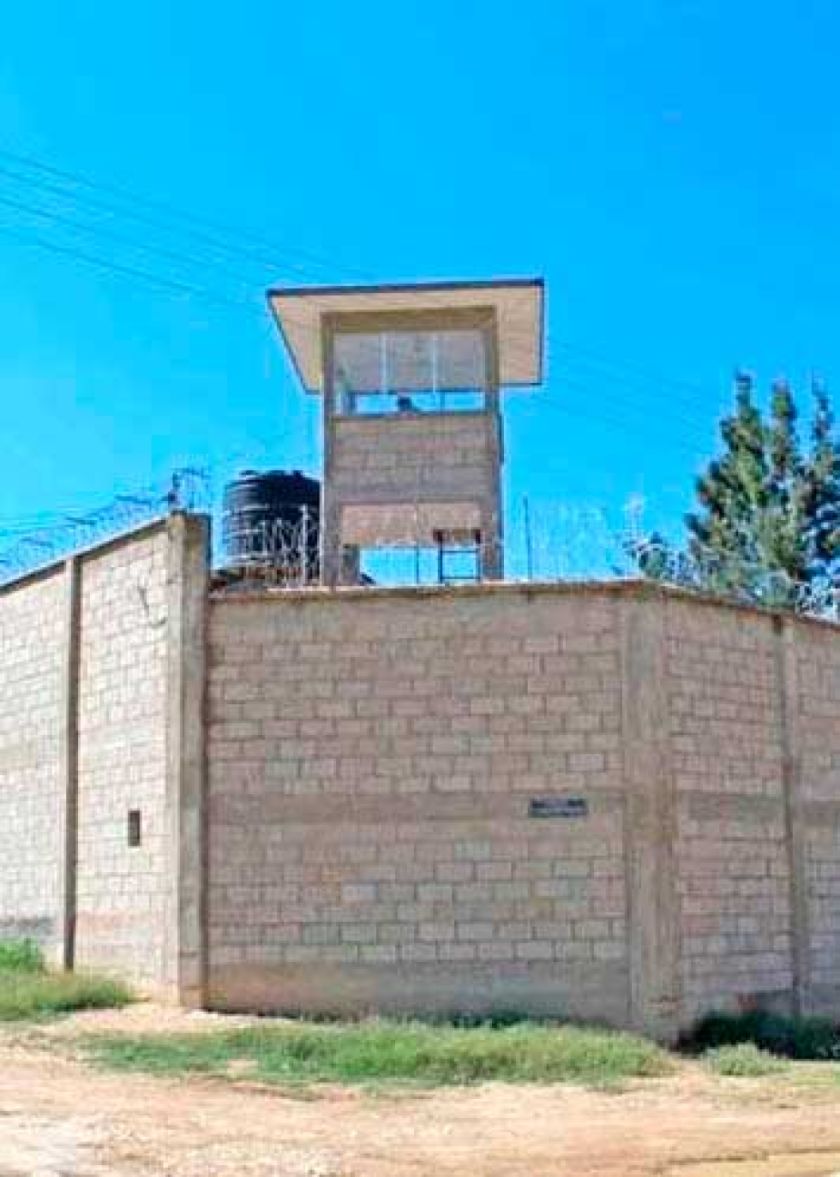 Ladrón casi mata a niña tras irrumpir en su casa