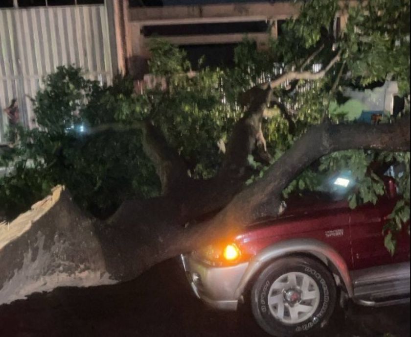 Vientos huracanados causan susto y estragos en algunos municipios de Santa Cruz