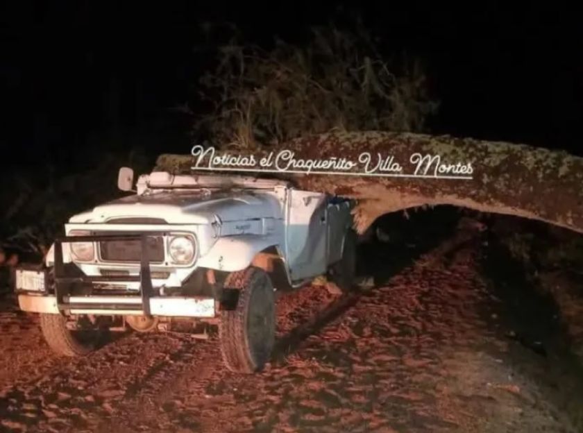 Tarija: Un árbol cae sobre un vehículo en movimiento en Villa Montes y deja dos fallecidos