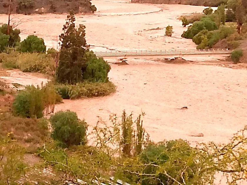 Se incrementa el número de ganado muerto por los desastres naturales