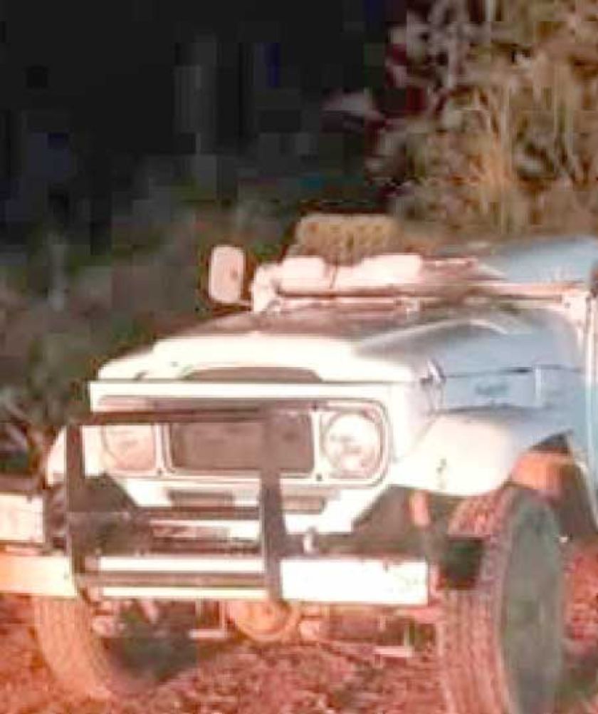 Dos fallecidos al caer un árbol sobre un vehículo
