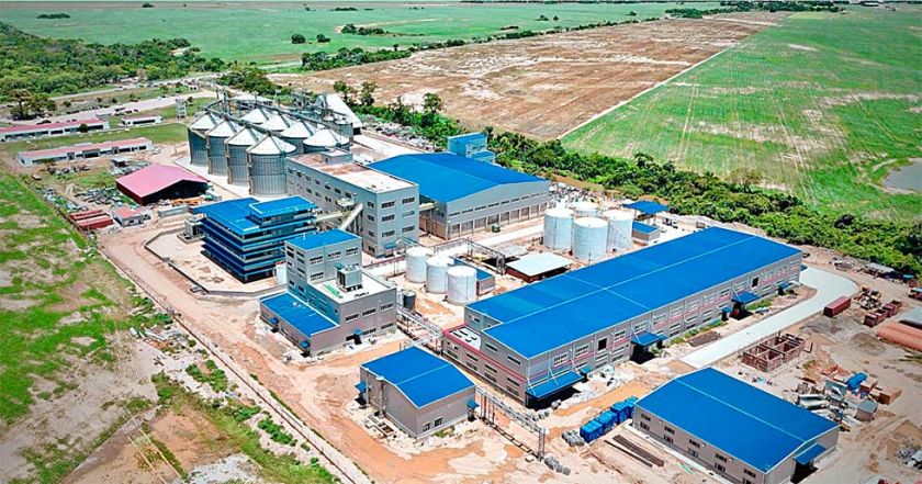 Nueva planta busca cubrir 76% del consumo de aceite