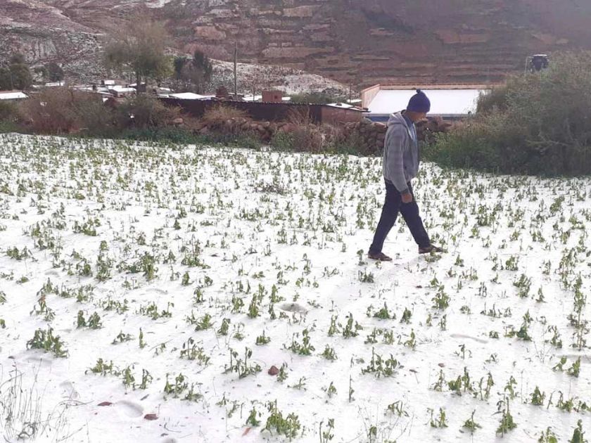 Potosí despide el 2024 acechado por desastres naturales y pérdidas