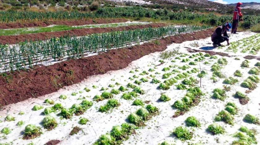 Potosí recibe el 2025 bajo el asedio de desastres naturales