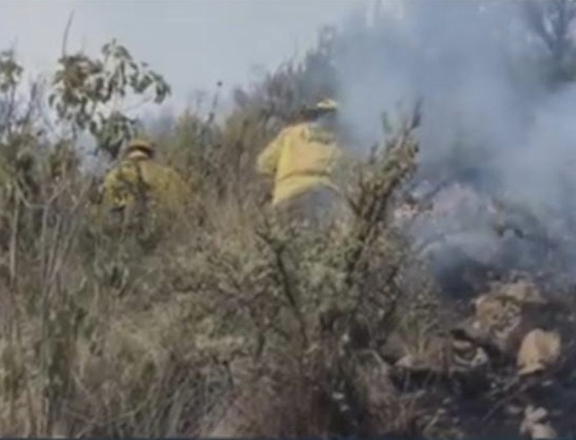 Cochabamba: Incendio deja hectáreas afectadas en el municipio de San Benito