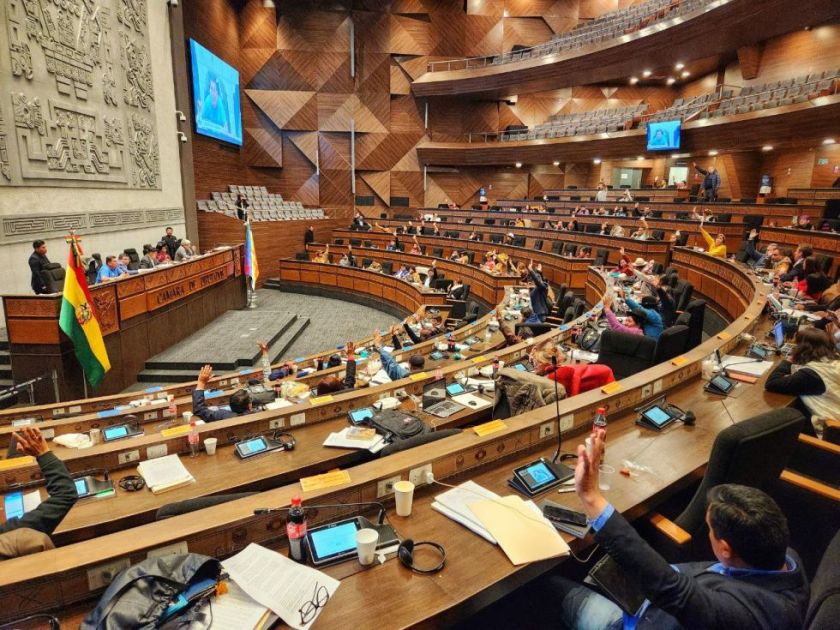 Diputados aprueba crédito de $us 250 millones para emergencias por desastres naturales