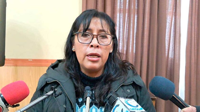 Planifican nueva inspección en el Cerro Rico de Potosí