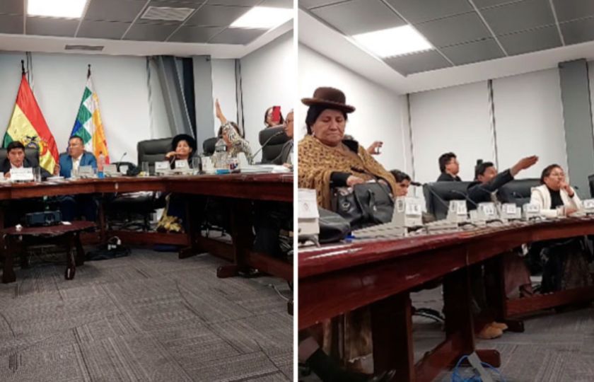 Comisión en Diputados aprobó contrato para producción de litio con empresa china