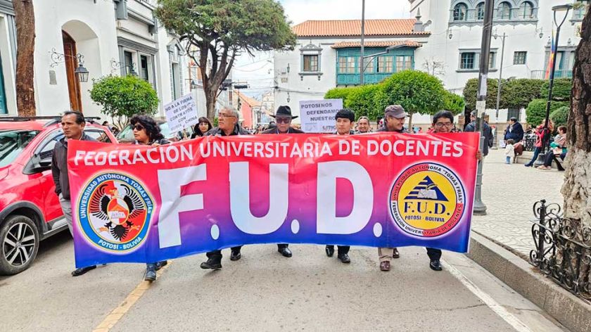 FUD marcha para que se revise los contratos del litio