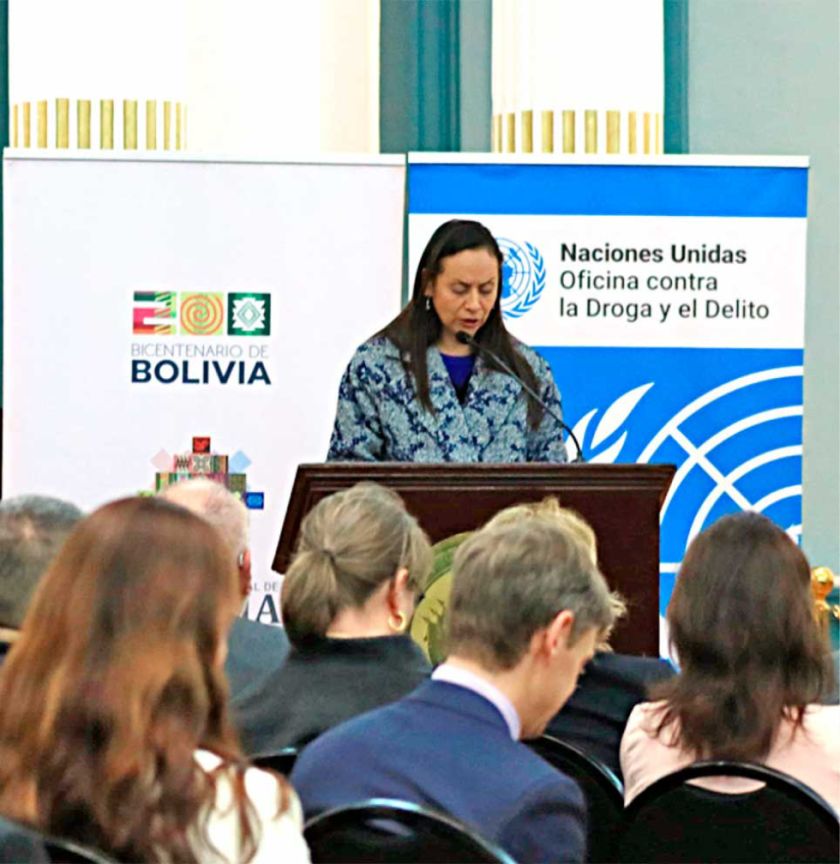 Cultivos de hoja de coca  subieron en 4% en 2023