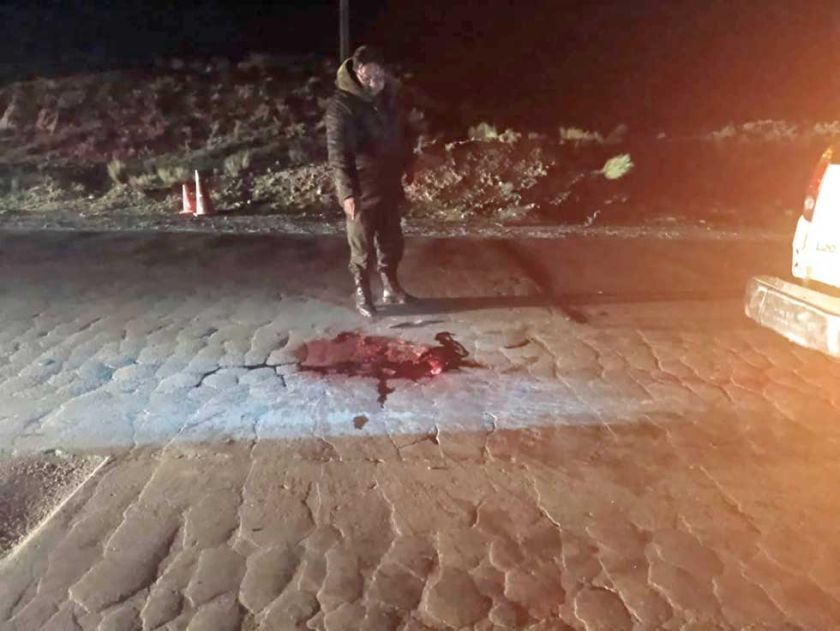 Tragedia en la carretera a Tarija: hombre pierde la vida tras ser atropellado