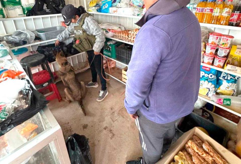 Una perra que descubrió dos paquetes de marihuana en Cantumarca