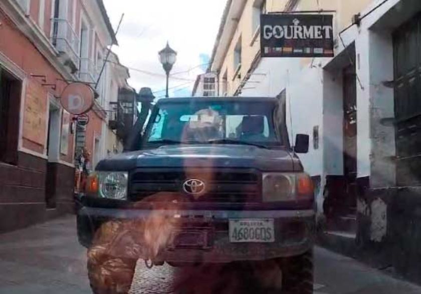 Chofer invade pasaje peatonal del Boulevar con una camioneta
