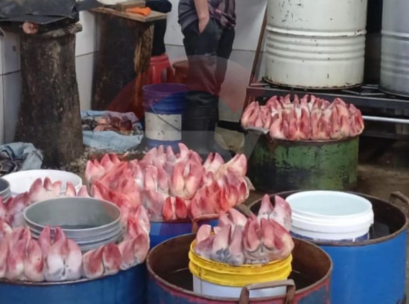 Intervienen dos domicilios en El Alto que comercializaban patas de res en condiciones insalubres