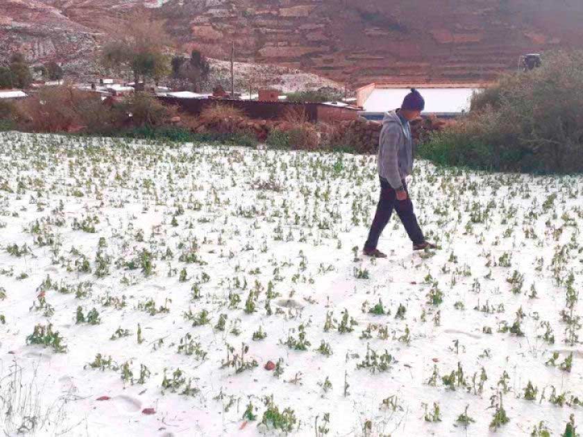 Lluvias y granizadas afectan a 1.600 familias en Potosí