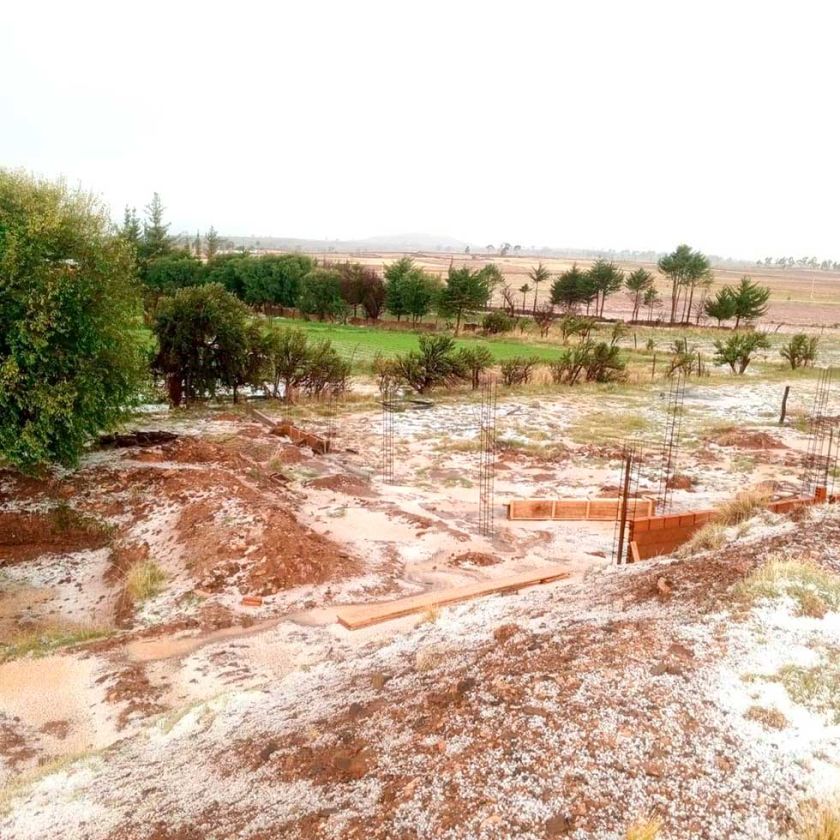 Más de 14 mil hectáreas de terrenos se perdieron por desastres naturales