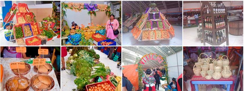 Potencialidad productiva se luce en Potosí desafiando a los desastres 
