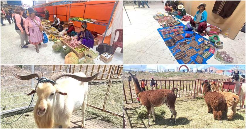Feria productiva ofreció precios baratos