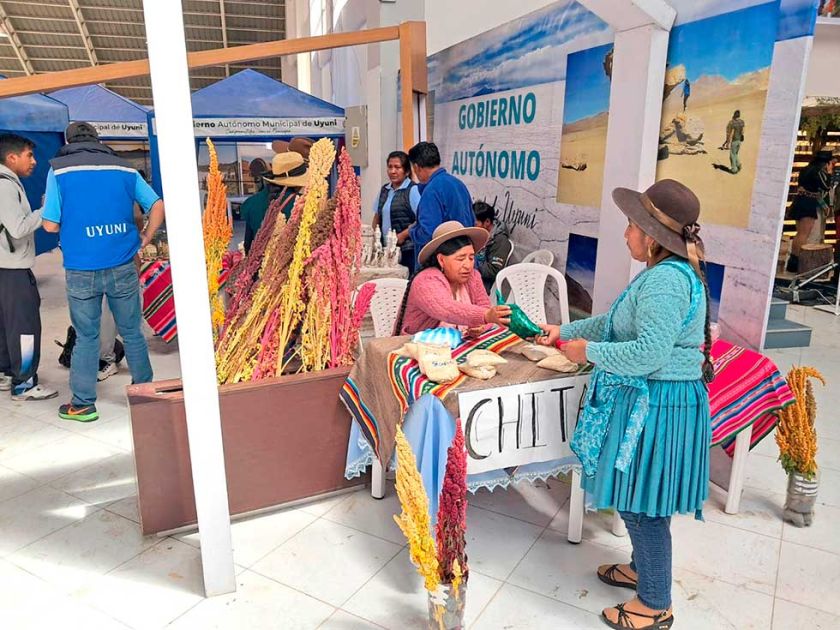 Desastres naturales afectan la producción de quinua en Potosí