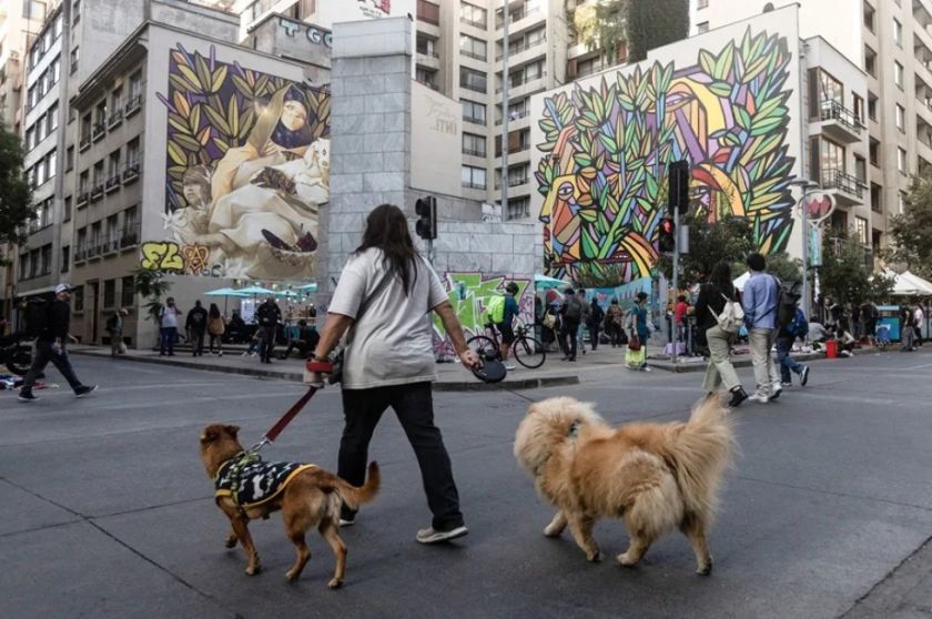 Chile registra una de las tasas de fecundidad más bajas del mundo: «No hay condiciones»