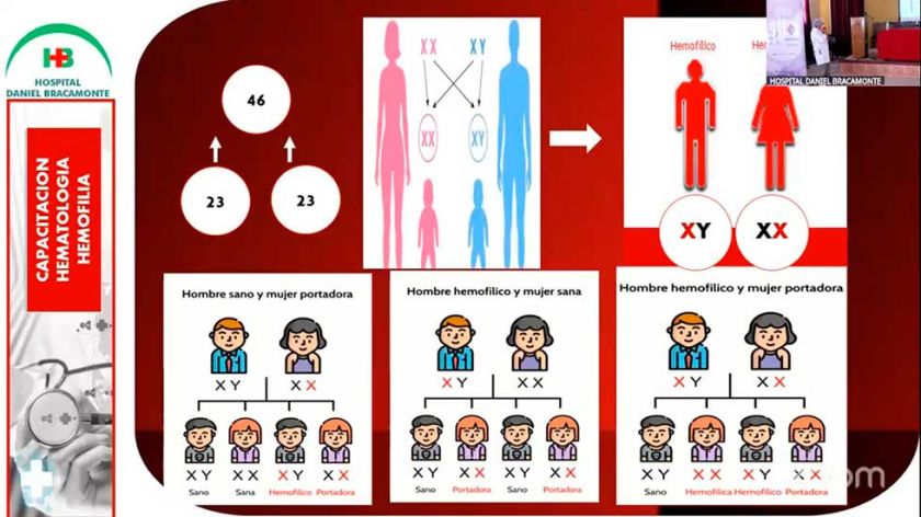 Desarrollan taller con el personal de salud sobre la hemofilia