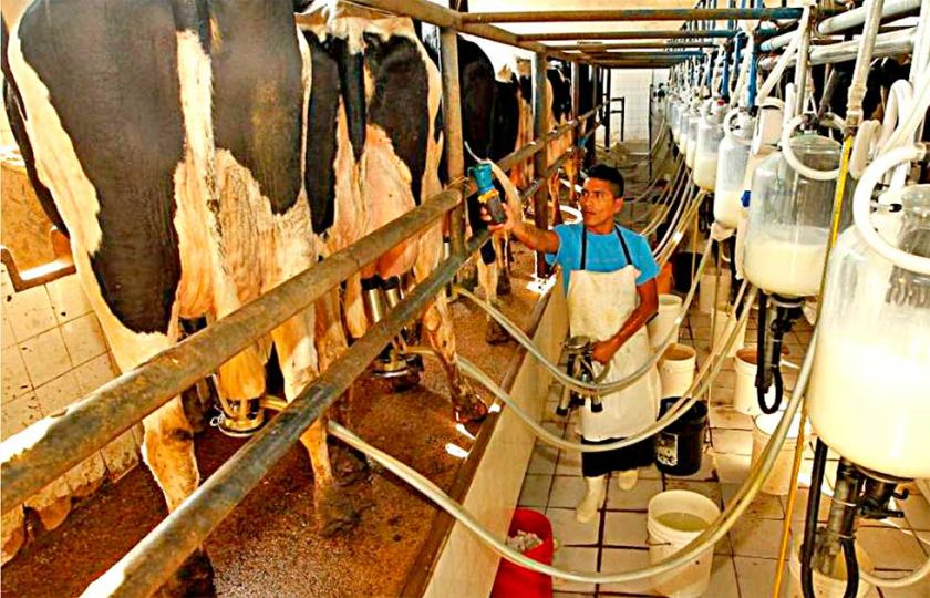 Diálogo roto: Ministro descarta  aumento del precio de la leche