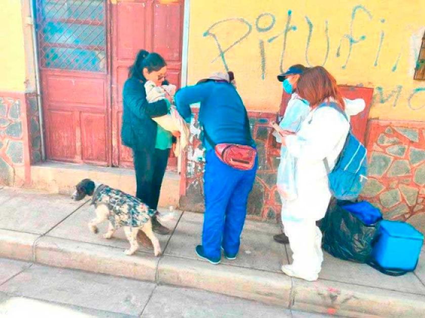 Zoonosis asume acciones para descender la población canina