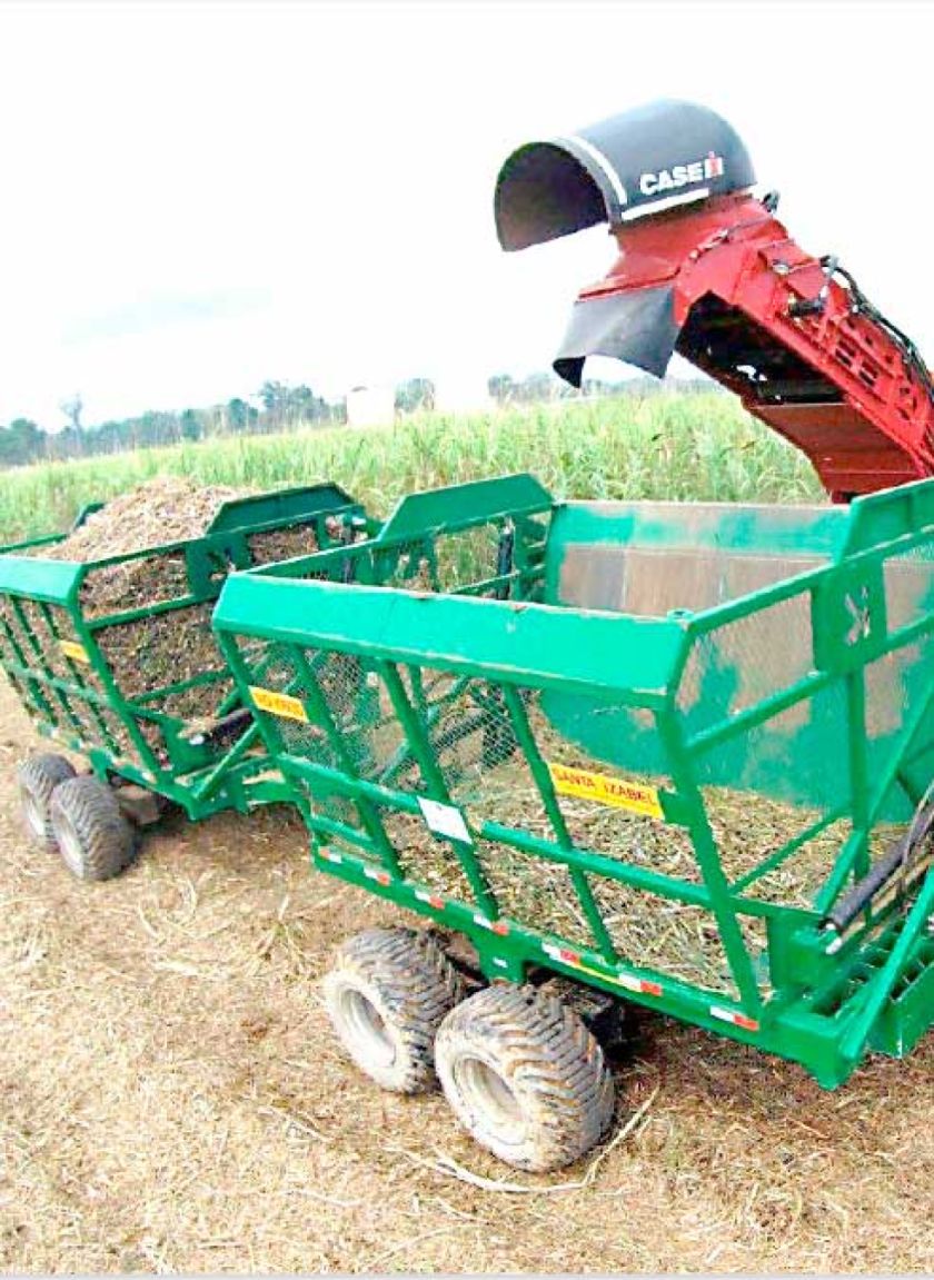Easba logra subir rendimiento de  producción de caña