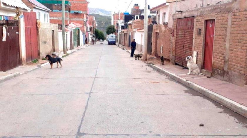 Dueños de canes que vagan en calles serán expuestos en las redes sociales