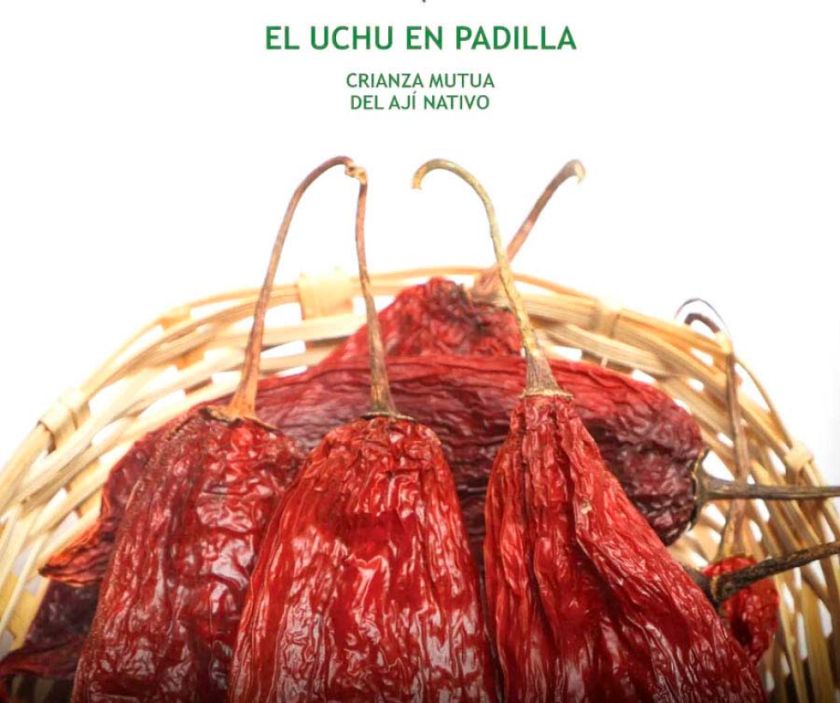 Musef presenta el catálogo sobre el "El Uchu en Padilla"