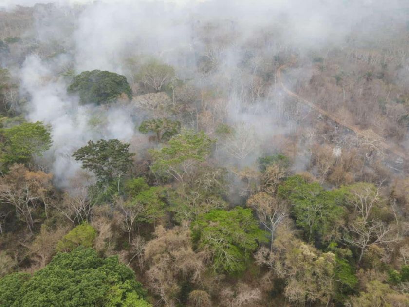 Defensoría del Pueblo expresa su preocupación por la falta de un ‘Plan de Prevención de Incendios Forestales’