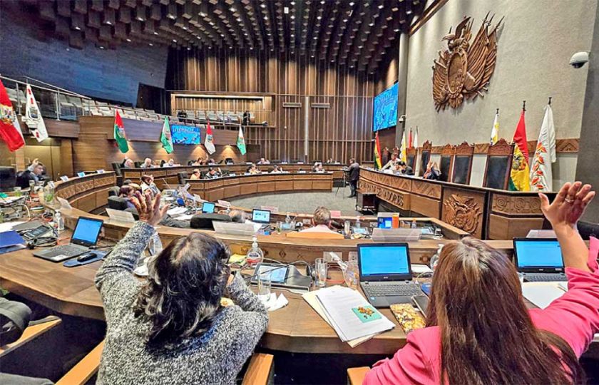 El Senado podría tratar ley del TREP este jueves 