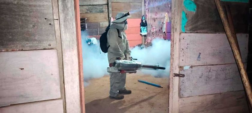 Potosí registró crecimiento de la población de mosquito del dengue