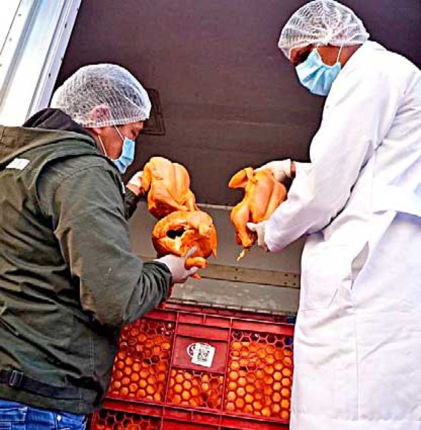 Se venderán 1.380 pollos  incautados en ruta a Perú