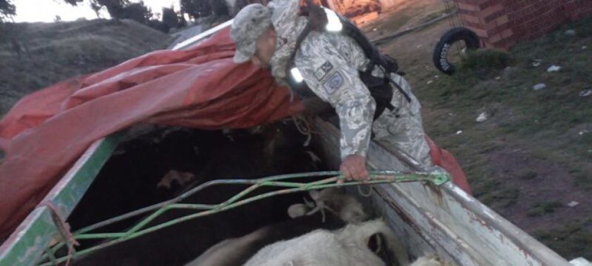 Militares incautan en riberas del Lago Titicaca alimentos con destino a Perú