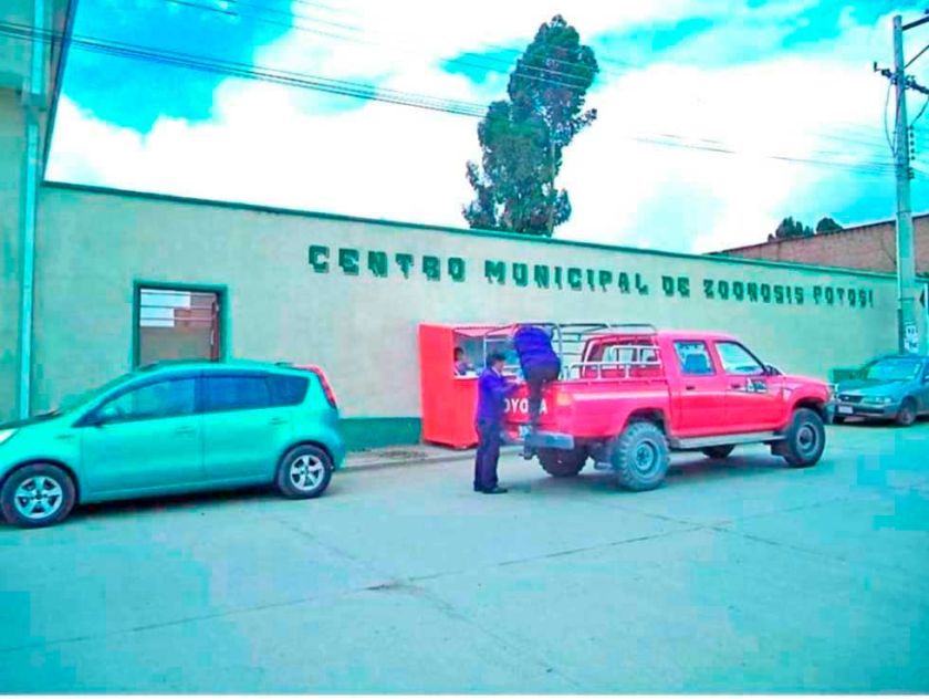 En una semana 45 personas fueron expuestas a mordeduras de perros
