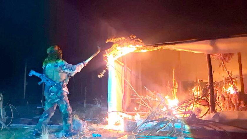 Felcn quema más de una  tonelada de marihuana en Cala Cala, norte Potosí