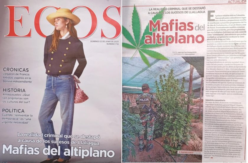 Cultivo de marihuana en el norte de Potosí tenía protección estatal