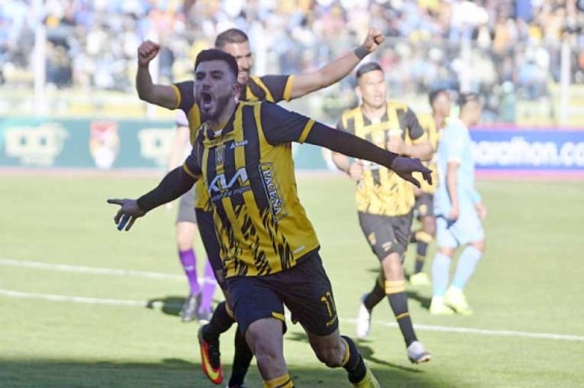 Garra atigrada