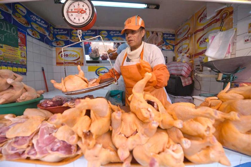 Intendencia afirma que baja de precio la carne de Pollo en Potosí